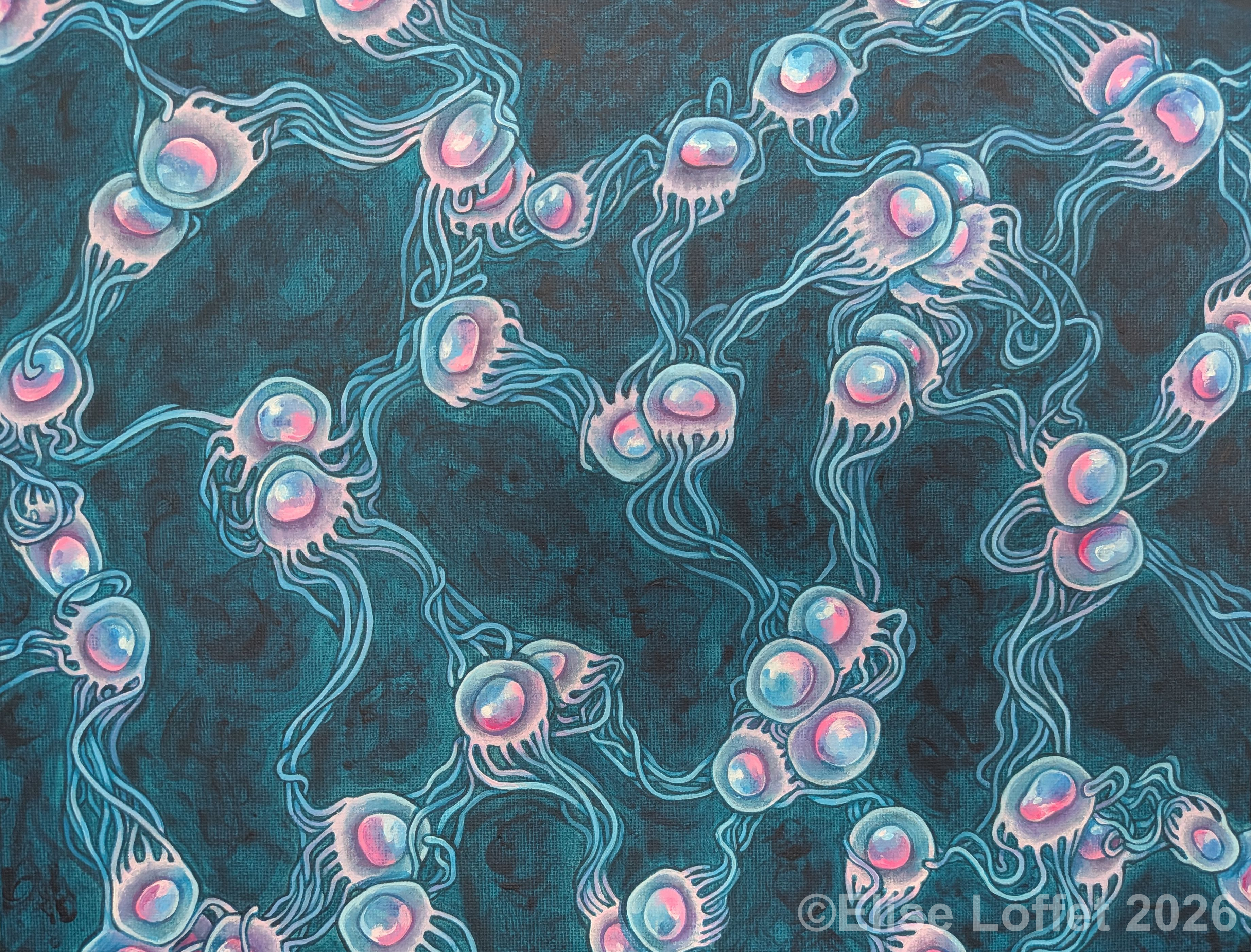 jellyfishes