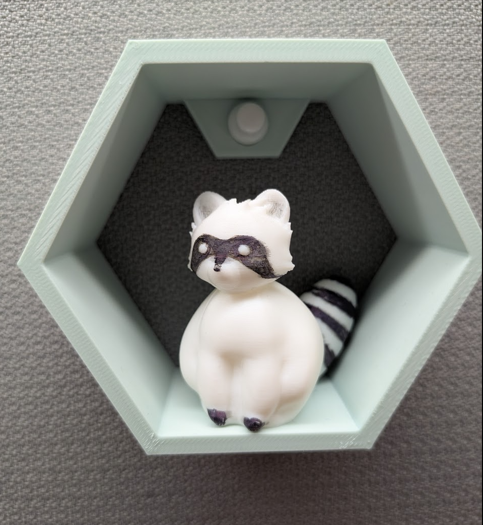 Raccoon 2